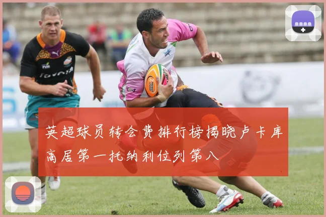 英超球员转会费排行榜揭晓卢卡库高居第一托纳利位列第八