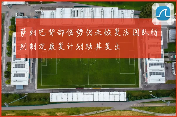 萨利巴背部伤势仍未恢复法国队特别制定康复计划助其复出