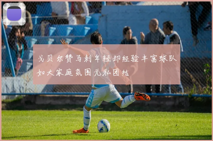 戈贝尔赞马刺年轻却经验丰富球队如大家庭氛围无私团结