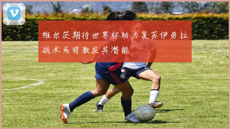 维尔茨期待世界杯助力复苏伊劳拉战术或将激发其潜能